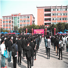 <b>IT人才供需洽談會(huì)：100多家企業(yè)，“職”為新華</b>