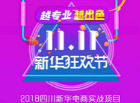 <b>越專業，越出色|嗨爆雙十一！四川新華電腦學院電商合作項目突破1億！</b>