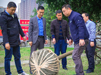 <b>植樹節，在夢想的地方栽下希望的綠色！</b>