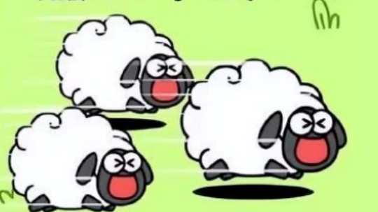 <b>羊了個(gè)羊？成都新華四步帶你無(wú)限通關(guān)！</b>