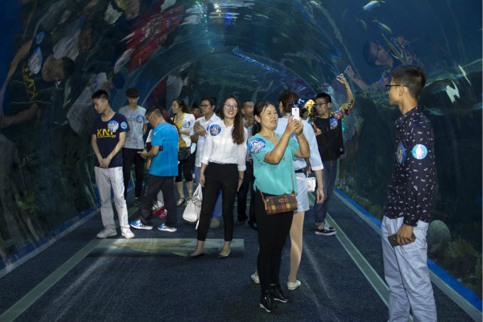 夏令營(yíng)第二季，新華學(xué)子一起遨游海洋王國(guó)