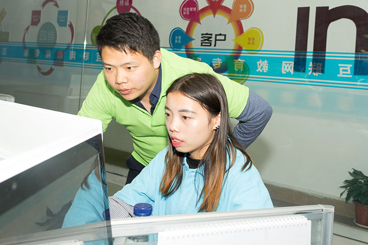 嗨爆雙十一！四川新華電腦學院助力水星家紡突破2.29億