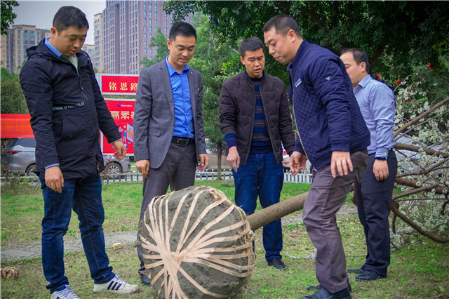 植樹節(jié)，在夢想的地方栽下希望的綠色！