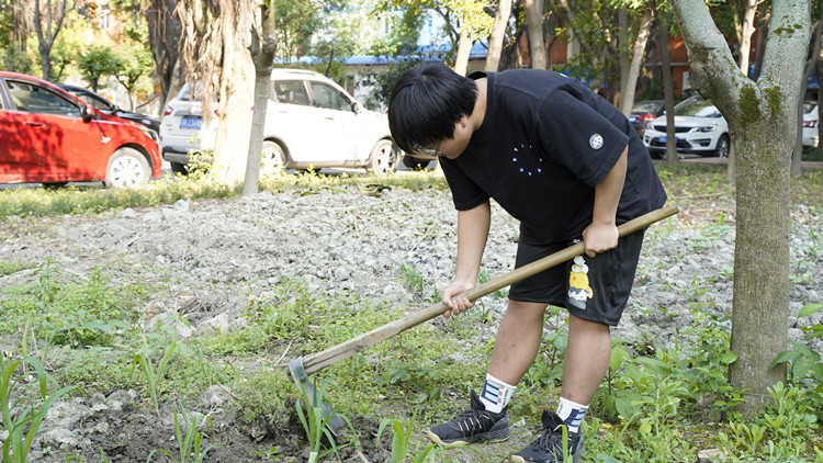 新風采新青年|寓教于“種”，新攀高峰