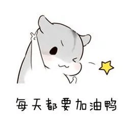 2024年成都新華秋季預科班火熱開啟！