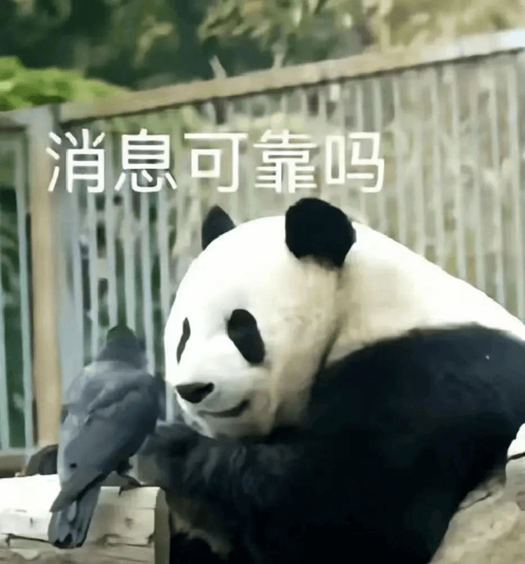 對口高考：升學(xué)壓力低，還可以沖本科